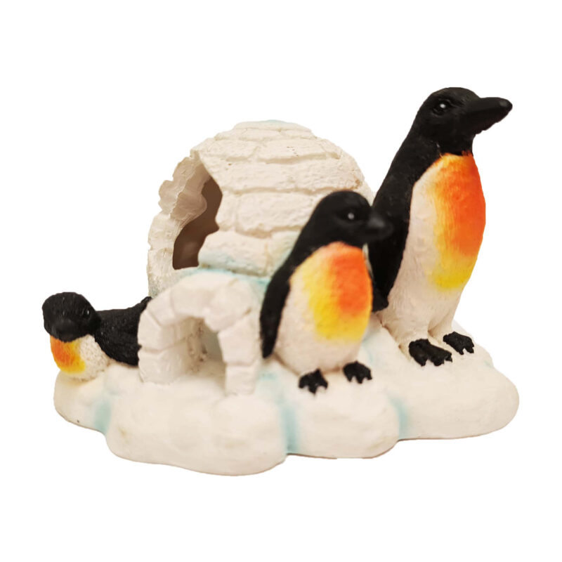 Betta Penguins With Igloo