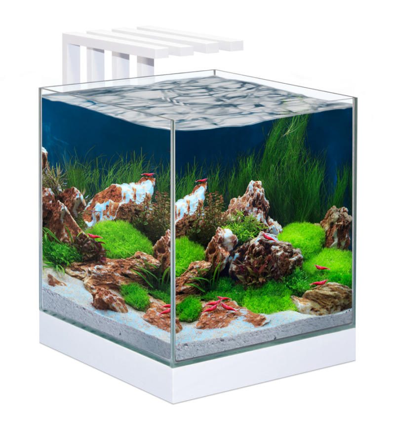 CIANO Nexus Pure 25 Aquarium LED