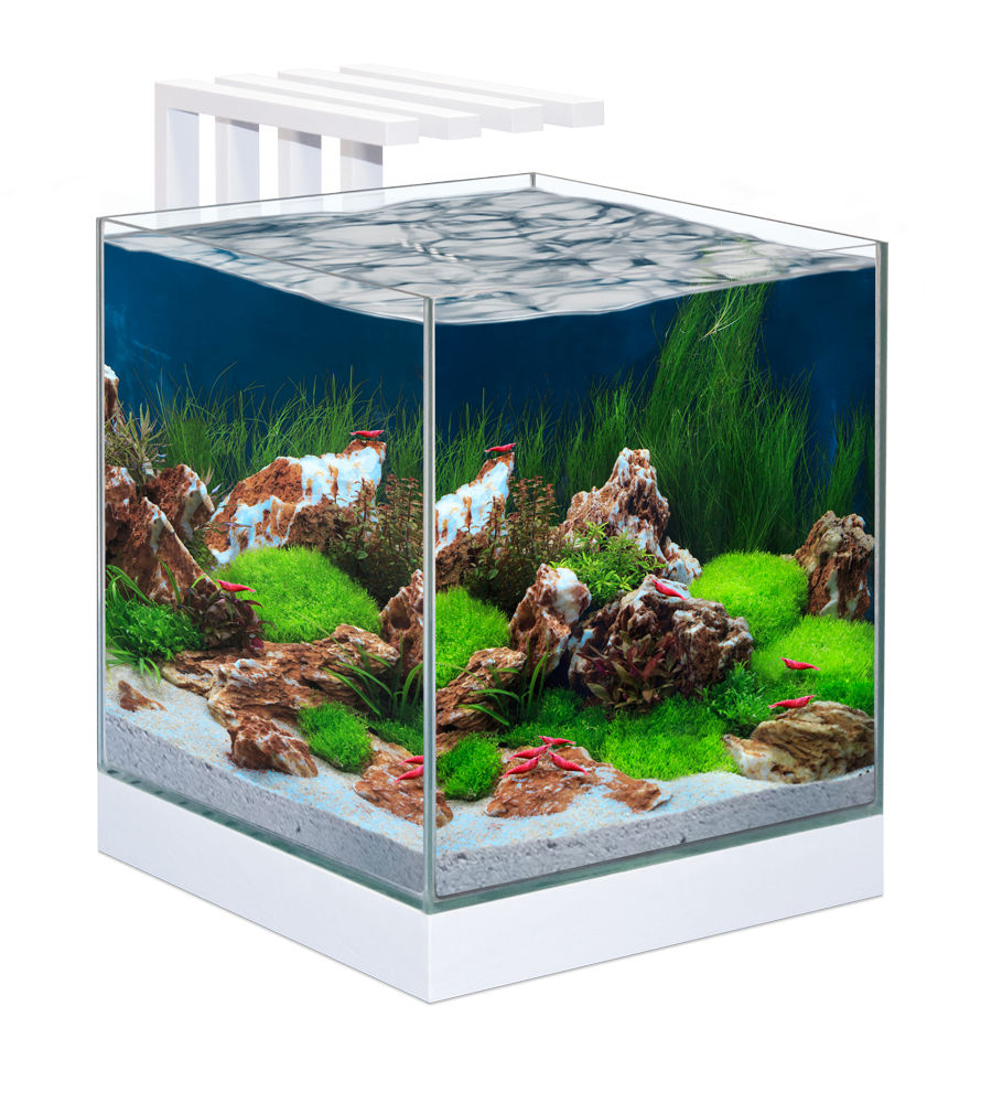 CIANO Nexus Pure 25 Aquarium LED Victor Aquatics