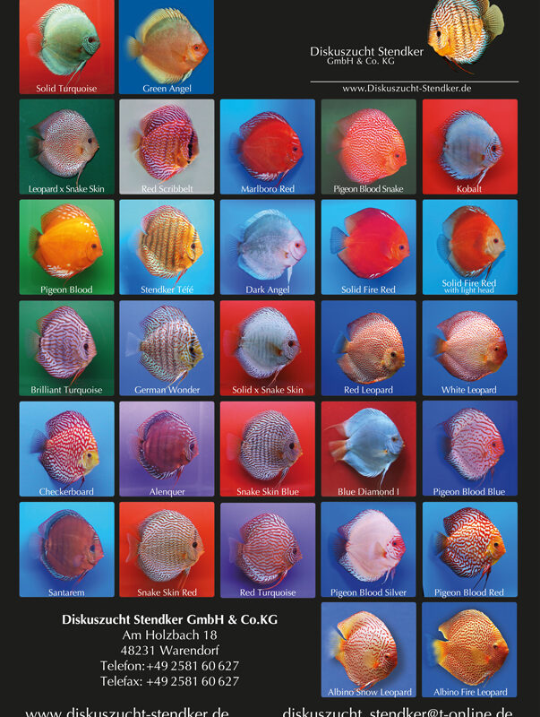 Stendker Discus Victor Aquatics